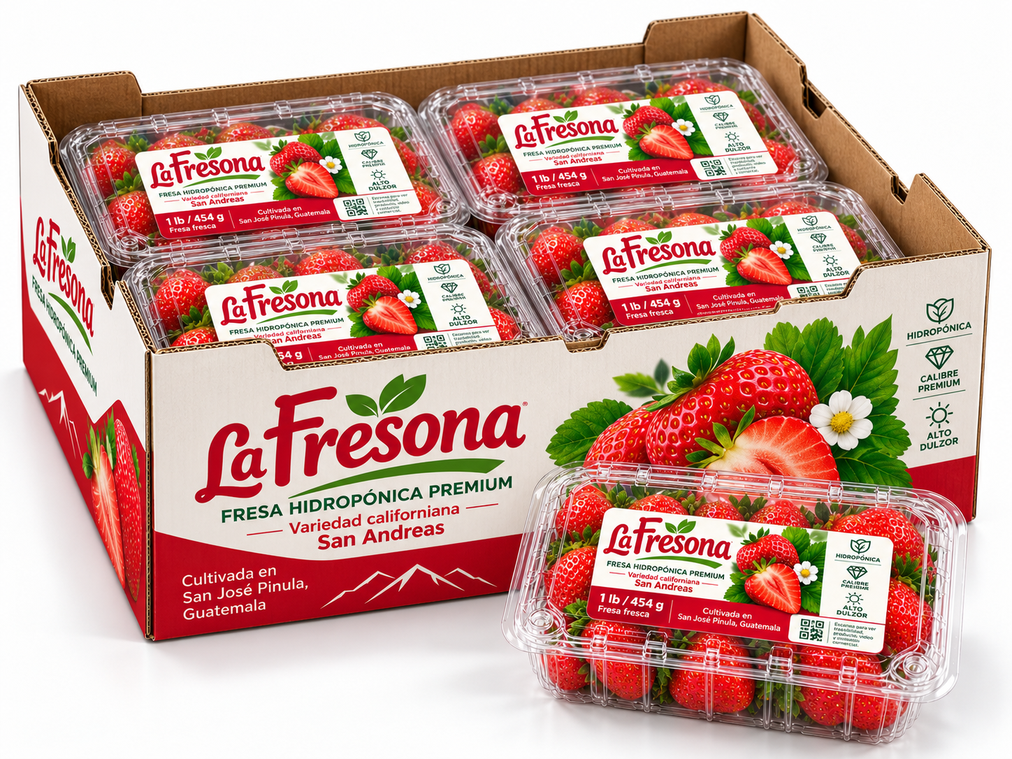 Caja La Fresona – 12 lb de Fresas Premium